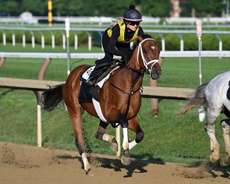 Renegade trains at Saratoga Race Course
