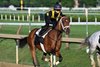 Renegade (outside), July 25 2026, Saratoga Race Course