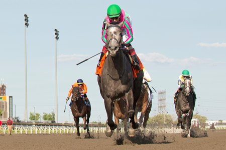 Luster wins the Woodbine Oaks at Woodbine