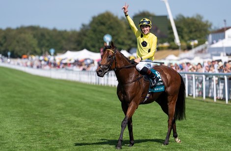 Unbeaten Group 1 Winner Bow Echo Retired