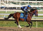 Skippylongstocking gallops on the track at Monmouth Park Racetrack in Oceanport, NJ on Wednesday morning (7/15) with exercise rider Josue Garcia.  Skippylongstocking will compete in Saturday's Monmouth Cup on the Haskell undercard.  Photo by Bill Denver/EQUI-PHOTO.