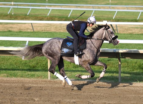 Napoleon Solo, Further Ado Headline Stellar Haskell