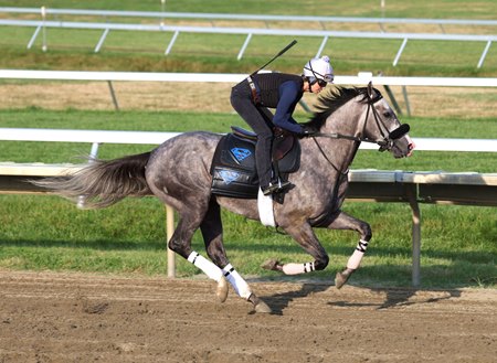 Napoleon Solo gallops at Monmouth Park