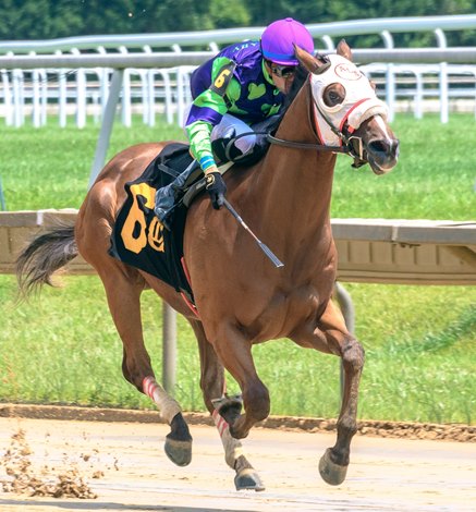 Expatriate Stallion Mutasaabeq Sires First Winner