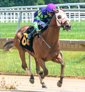 Johnny G wins a maiden claiming race at Delaware Park