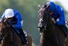Rebel's Romance (William Buick,right)  beats Arabian Crown in the Princess Of Wales's Stakes
Newmarket 9.7.26 Pic: Edward Whitaker