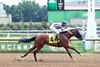 Book Value wins the 2026 Hoover Stakes at Belterra Park