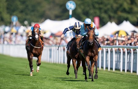 Pershaada wins the Molecomb Stakes at Goodwood Racecourse