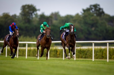 Green Dreamer defeats Shakespeare (middle) and Darkness Falls (left) in a maiden race at Leopardstown Racecourse