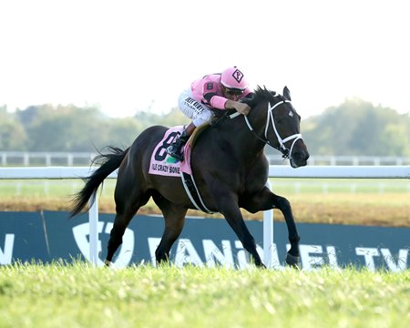 Ole Crazy Bone wins the 2025 Kentucky Turf Cup Invitational Stakes at Kentucky Downs