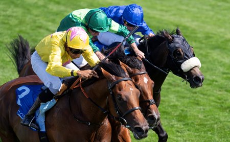 Dr Rascal (nearest) beats Haffner (center) and Al Hudaiba in the Vintage Stakes at Goodwood Racecourse