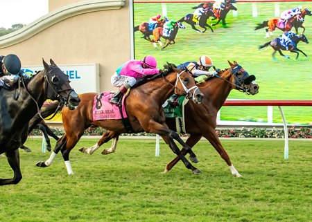 Gold Phoenix (inside) wins a photo over Cabo Spirit (outside) and hard-charging Formidable Man in the Eddie Read Stakes at Del Mar