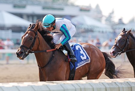 Book'em Danno is the morning-line favorite for this year's Forego Stakes, one of three Breeders' Cup Challenge Series races on the Aug. 29 card at Saratoga Race Course
