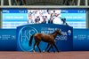 2026 Hong Kong International Sale, Lot 2
Deep Field - Hussterical