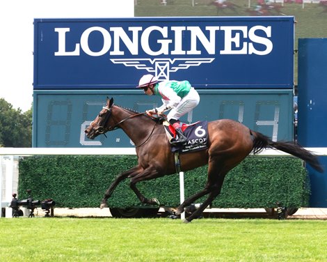 Fierce Competition for World's Elite Racehorses