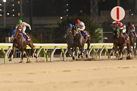 Mikki Fight scores a second consecutive victory in the Teio Sho at Oi Racecourse