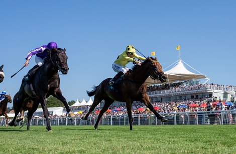 Bow Echo Takes Down Gstaad Again in Sussex Stakes