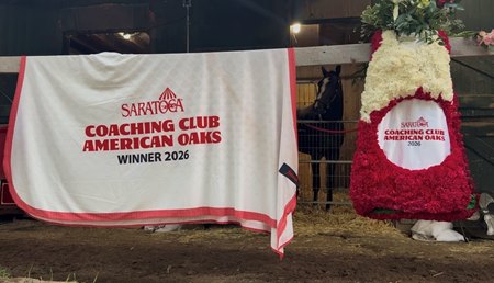 Counting Stars the morning after winning the Coaching Club American Oaks at Saratoga Race Course