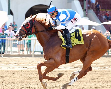 Banishing wins the Jeff Hall Memorial Stakes