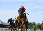 Twenty Six Black wins the Harvey Pack Stakes Sunday, July 5, 2026 at Saratoga Race Course