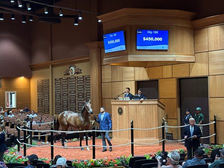 Hip 166, a daughter of Girvin, in the ring at Fasig-Tipton's The July Sale