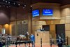 Hip 166 in the ring at Fasig-Tipton