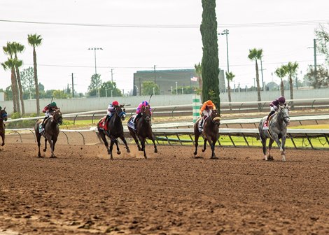 Sw 9593 Thoroughbred Meet at Los Alamitos Starts Sept. 11 - BloodHorse