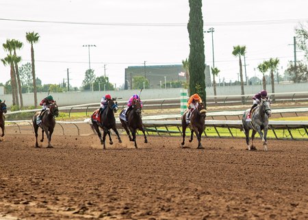 Racing at Los Alamitos Race Course