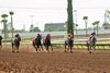 Pamela Ziebarth’s Sweet Azteca, carrying jockey Armando Ayuso, right, wins the Grade II $200,000 Great Lady M Stakes for the third-straight year Saturday, July 4, 2026 at Los Alamitos Race Course, Cypress, CA.  
Benoit Photo