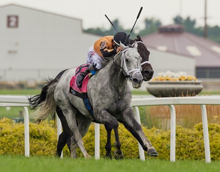Seminole Chief, under Junior Alvarado, wins the Jonathan B. Schuster Memorial Stakes at Horseshoe Indianapolis