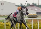 Seminole Chief  (Girvin) Wins the Jonathan B. Schuster Memorial S. with Junior Alvarado for Joe Sharp.
