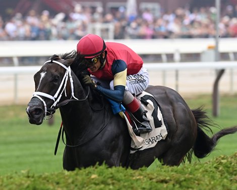 Cy Fair Makes Short Work of Coronation Cup Rivals