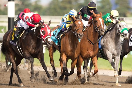 Racing at Woodbine