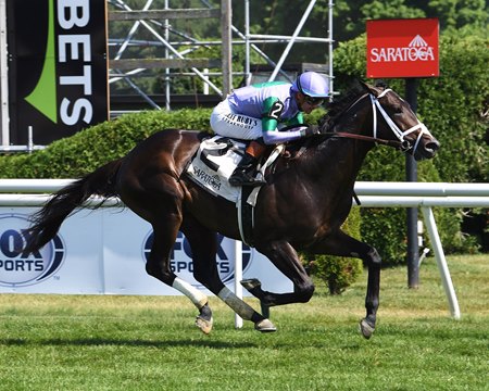 Liam's Law breaks his maiden at second asking at Saratoga Race Course