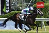 Liam's Law, Maiden Win, July 12 2026, Saratoga Race Course
First winner for Colonel Liam
