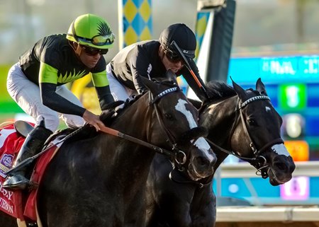 Listenupshance (inside) gets his nose on the wire just ahead of Maximum Bourbon at the end of the Bing Crosby Stakes at Del Mar
