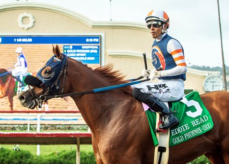 Gold Phoenix after winning the Eddie Read Stakes at Del Mar