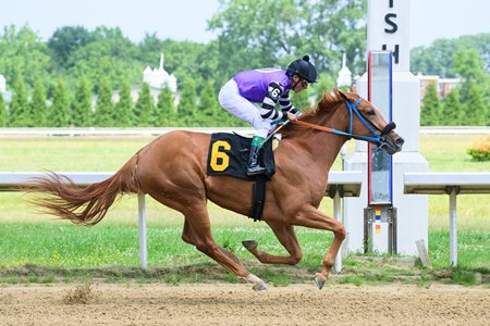 Box Office Hit romps in her racing debut at Thistledown