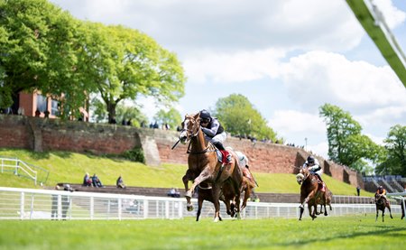 Adonius wins a conditions stakes at Chester Racecourse