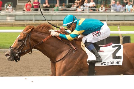 Creed's Gold wins the Hendrie Stakes at Woodbine