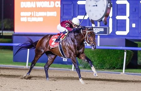 Magnitude wins the Dubai World Cup at Meydan Racecourse
