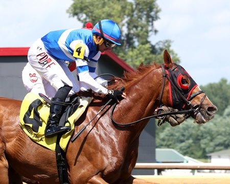 Banishing wins the Jeff Hall Memorial Stakes at Ellis Park