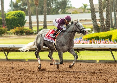Sweet Azteca captures her third consecutive win in the Great Lady M Stakes at Los Alamitos Race Course