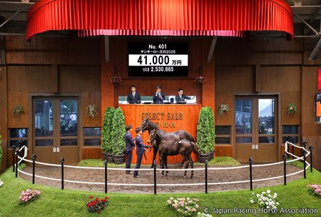 A Kitasan Black—Yankee Rose colt tops the JRHA Select Sale weanling session July 14 