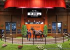 2026 JRHA Select Sale; Foal Session; Lot 401