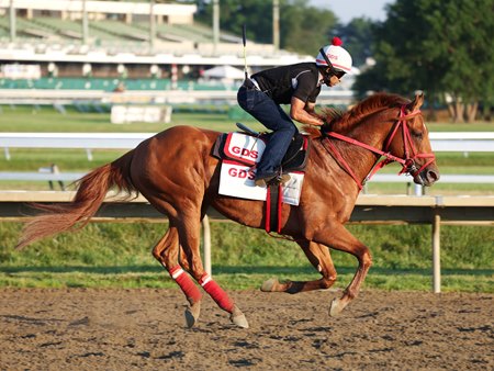 The Puma gallops at Monmouth Park