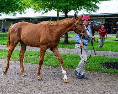 The filly by Two Phil's out of Fingerprint is Hip 52 at the July 14 Fasig-Tipton July Sale