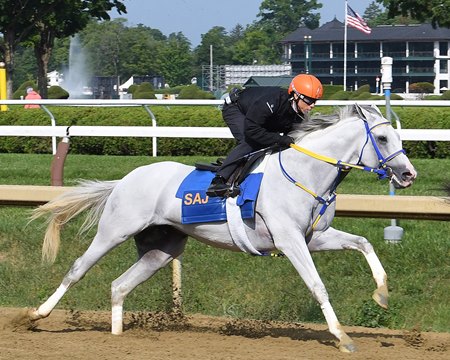 White Abarrio, who pulled off the Whitney-Breeders' Cup Classic double in 2023, breezes July 26 at Saratoga Race Course