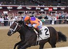 Local Knowledge wins the 2026 Amsterdam Stakes at Saratoga Race Course