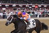 Local Knowledge wins the 2026 Amsterdam Stakes at Saratoga Race Course